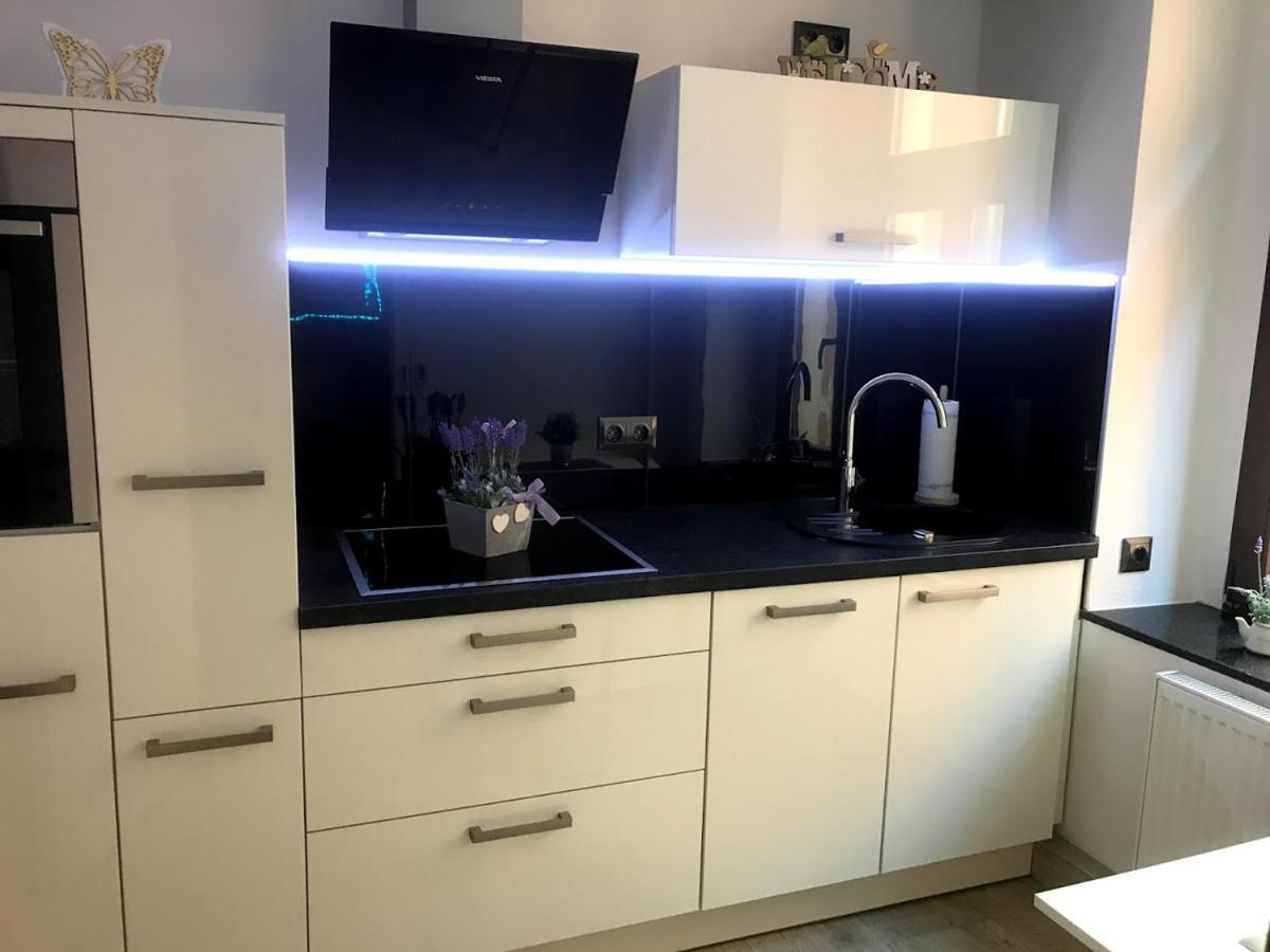 Salzhausblick Business Apartments - Zentrale Lage Am Salzhaus - Mwst-Rechnung Verfuegbar Zittau Habitación foto